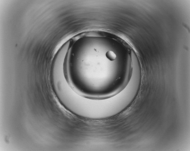 X0000102541101200808291836