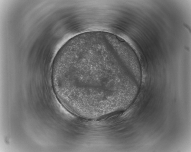 X0000102541102200808291836