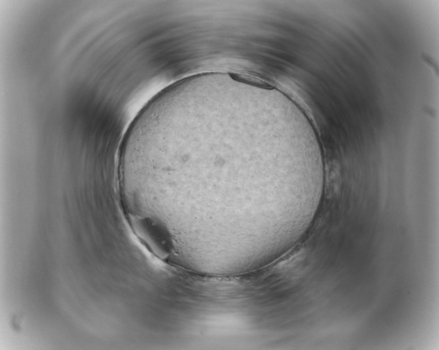 X0000102541103200808291836