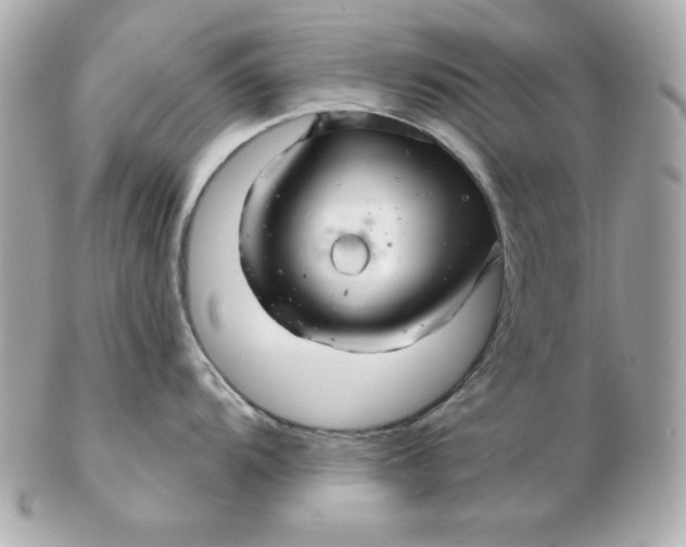 X0000102541104200808291836