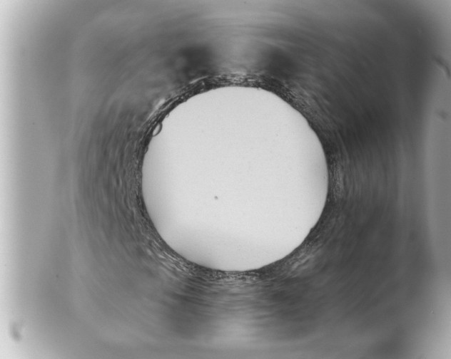 X0000102541105200808291836