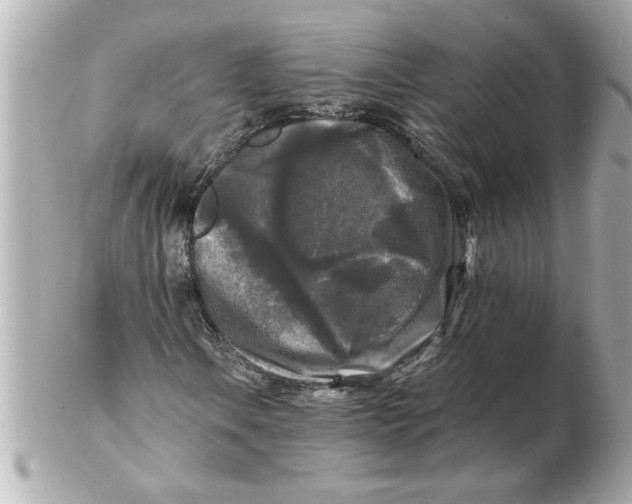 X0000102541106200808291836