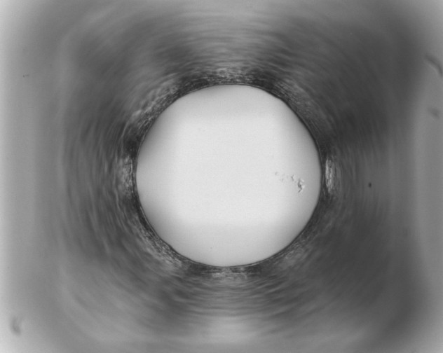 X0000102541107200808291836