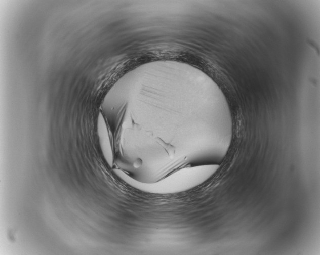 X0000102541108200808291836