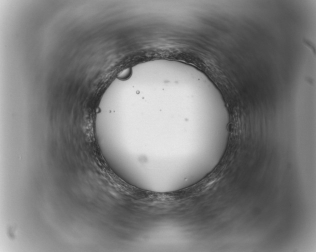 X0000102541109200808291836