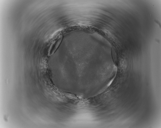 X0000102541110200808291836