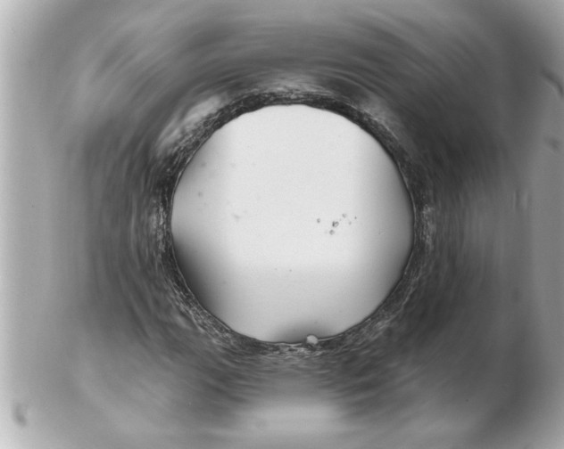 X0000102541111200808291836