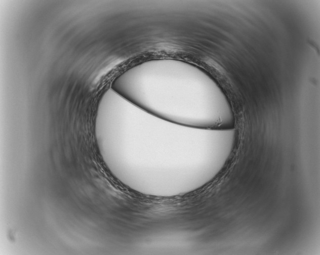 X0000102541112200808291836