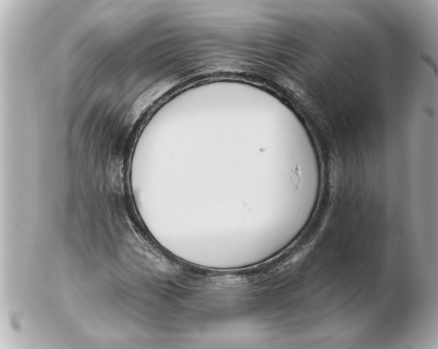 X0000102541113200808291836