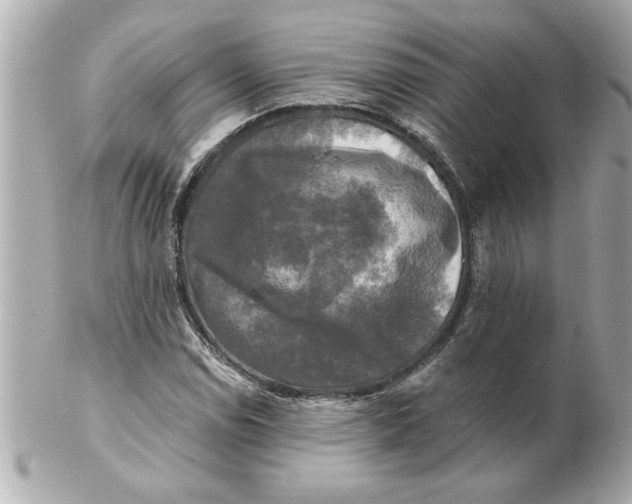 X0000102541114200808291836