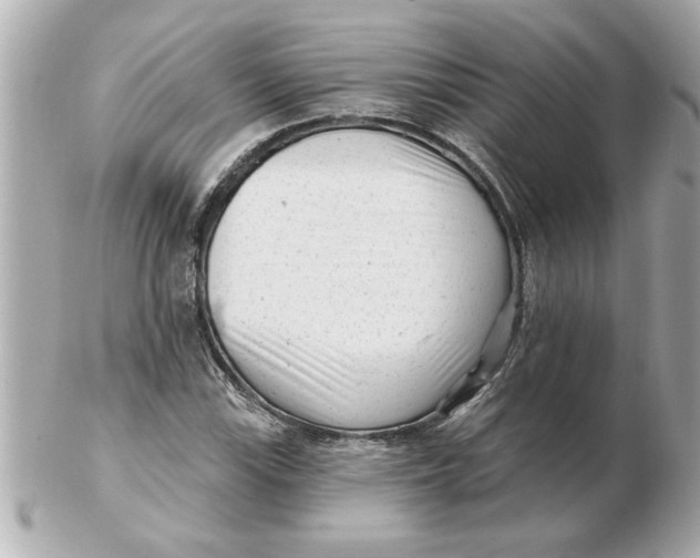 X0000102541115200808291836