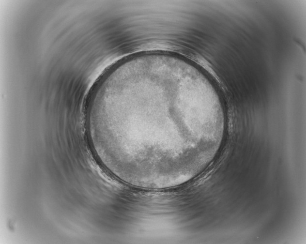 X0000102541116200808291836