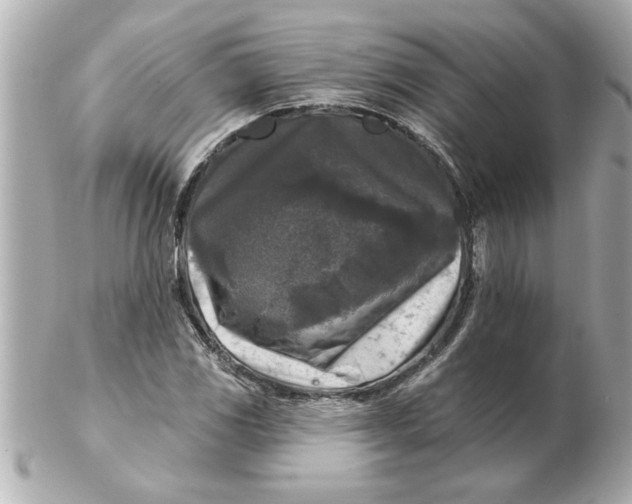 X0000102541117200808291836