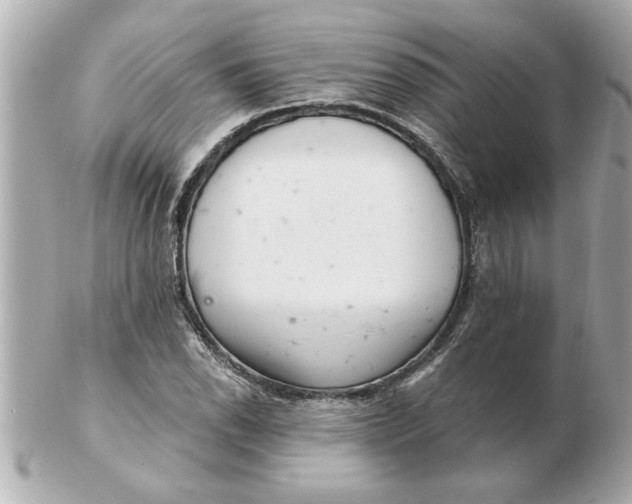 X0000102541118200808291836