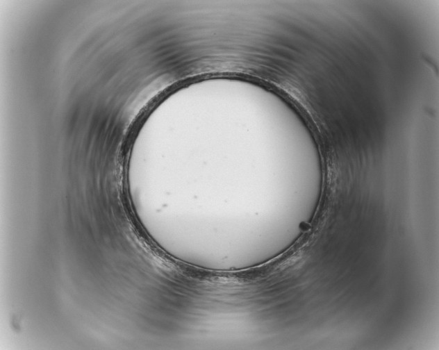 X0000102541119200808291836