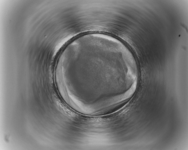 X0000102541120200808291836