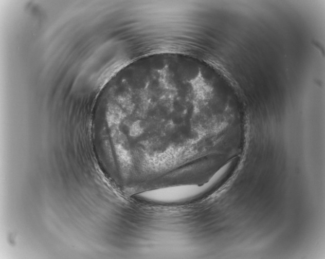 X0000102541121200808291836