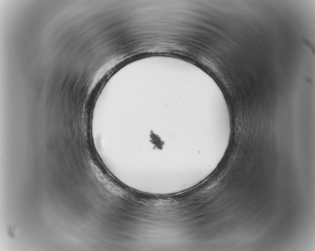 X0000102541122200808291836