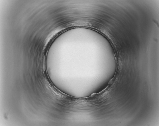 X0000102541123200808291836