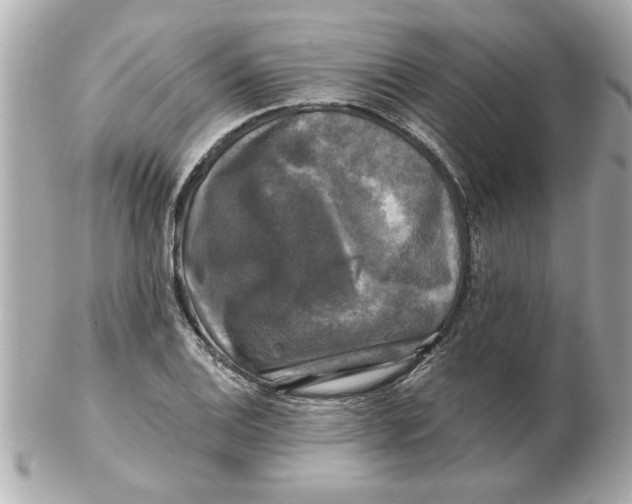 X0000102541124200808291836