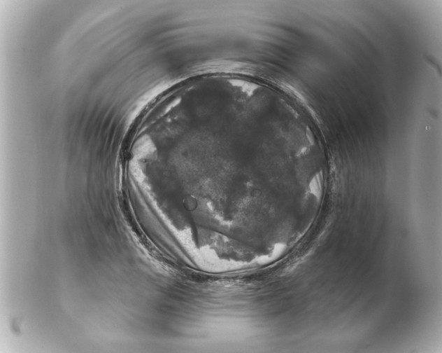 X0000102541125200808291836