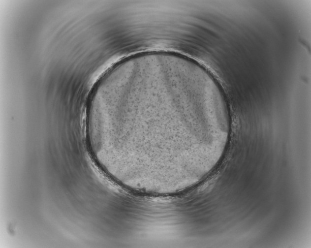 X0000102541126200808291836