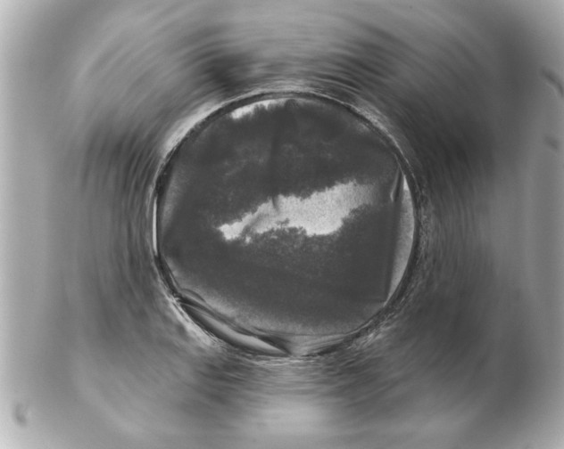 X0000102541127200808291836