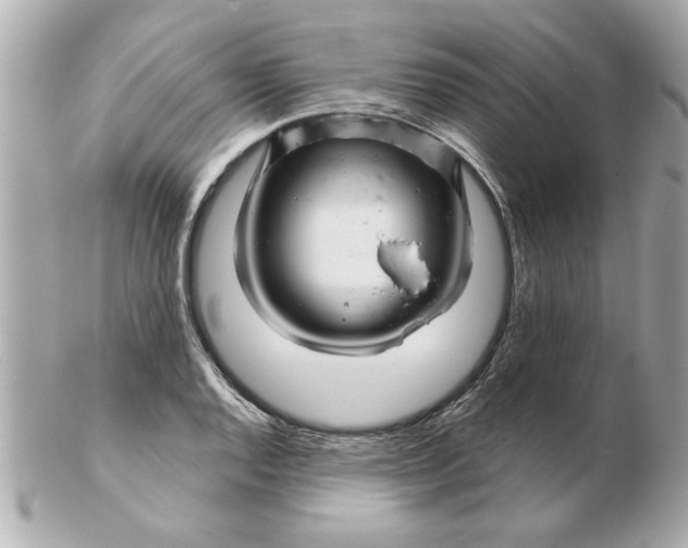 X0000102541128200808291836