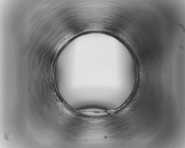 X0000102541129200808291836