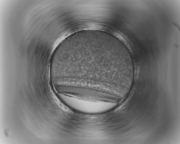 X0000102541130200808291836