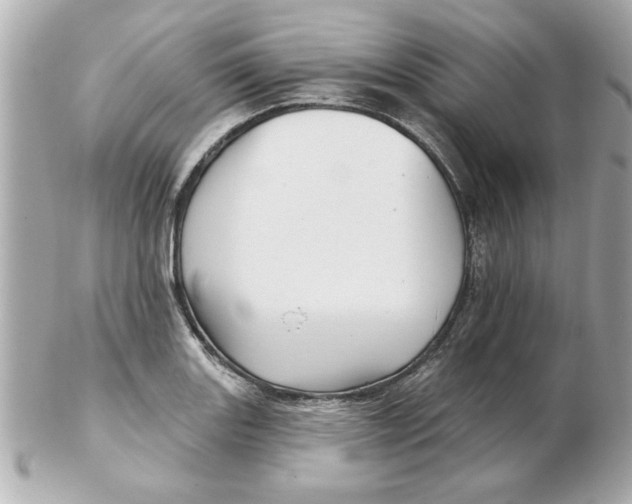 X0000102541131200808291836