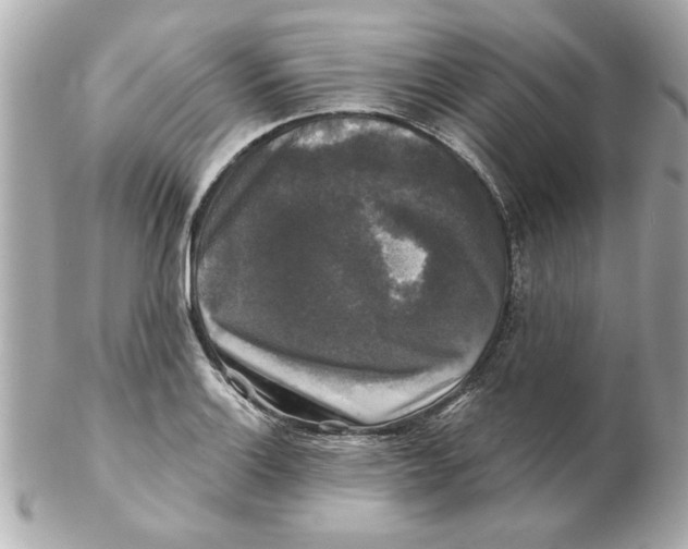 X0000102541132200808291836