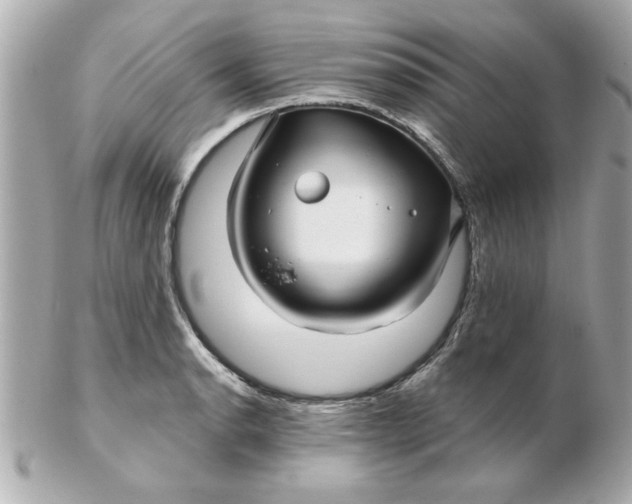 X0000102541134200808291836