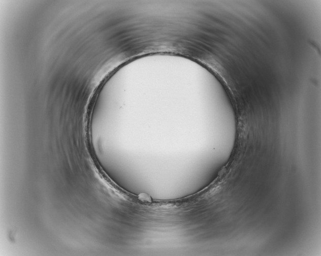 X0000102541135200808291836