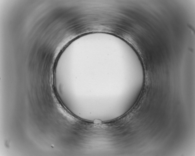 X0000102541136200808291836