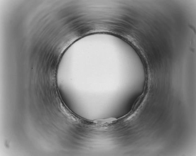 X0000102541137200808291836