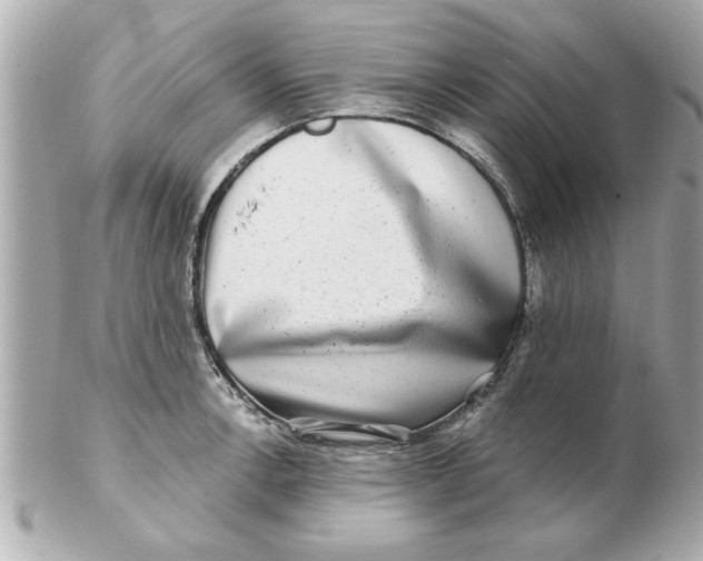 X0000102541138200808291836