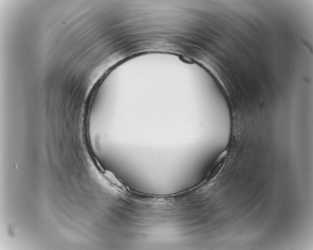 X0000102541139200808291836