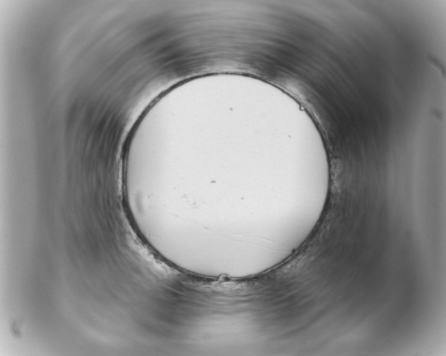 X0000102541140200808291836