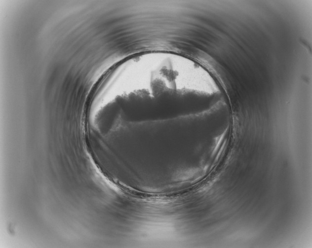 X0000102541141200808291836