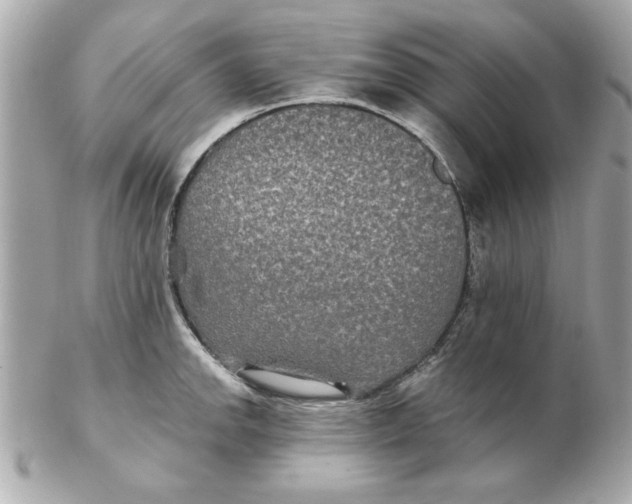 X0000102541142200808291836