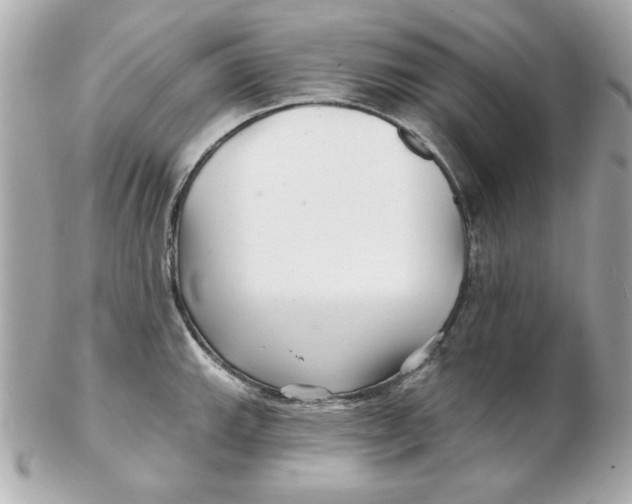 X0000102541143200808291836