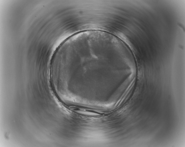 X0000102541144200808291836