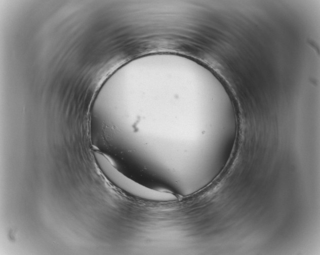 X0000102541145200808291836