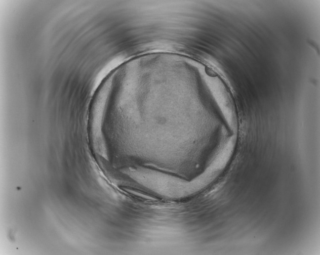 X0000102541146200808291836