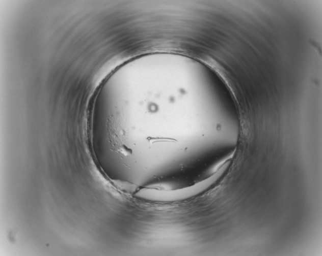 X0000102541147200808291836