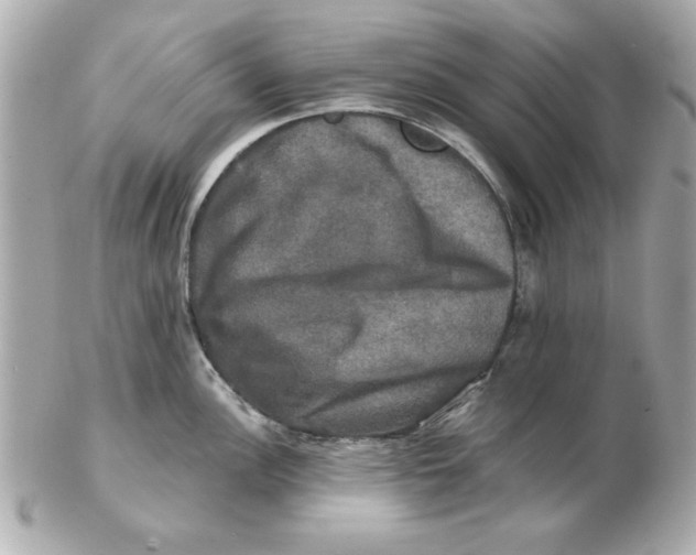 X0000102541148200808291836