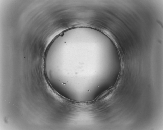 X0000102541149200808291836