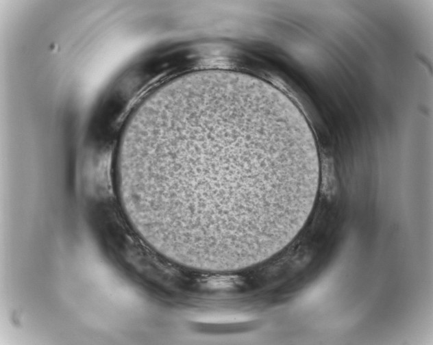 X0000102541150200808291836