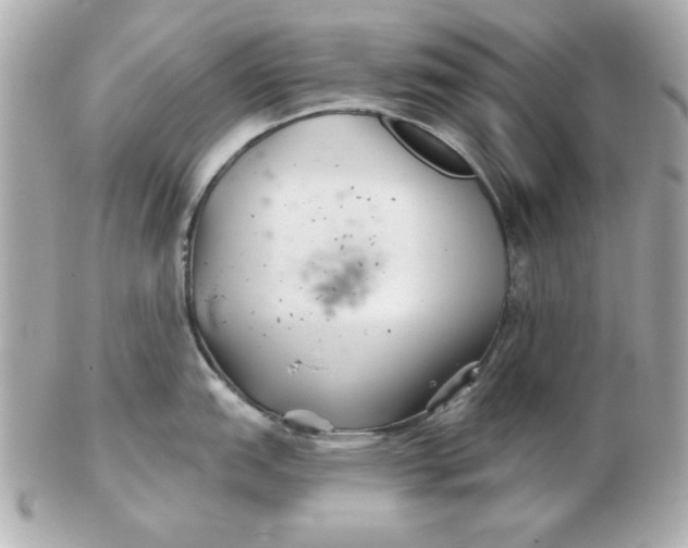 X0000102541151200808291836